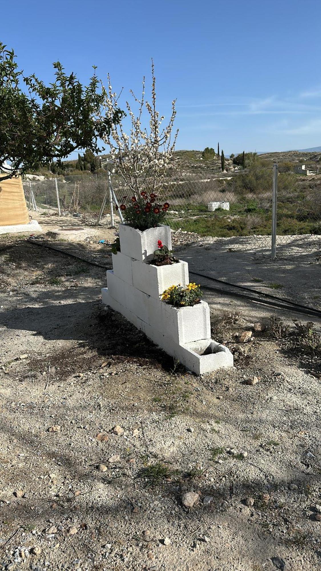 Alojamientos Cuevas Tiana El Aljibete Zewnętrze zdjęcie